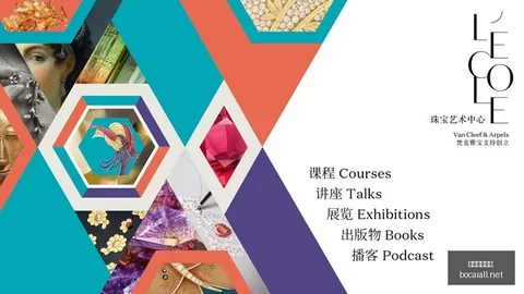 常规赛观赛人次突破186万，签约总额超624亿2026最新数据分析指南